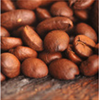ダートコーヒーの本格コーヒー生豆。コーヒー生豆ならダートコーヒー