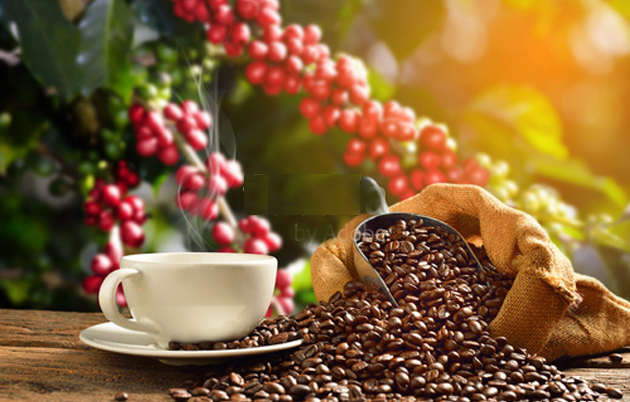 ダートコーヒーの厳選された上質なコーヒー生豆から生まれる香味焙煎ダートローストコーヒー